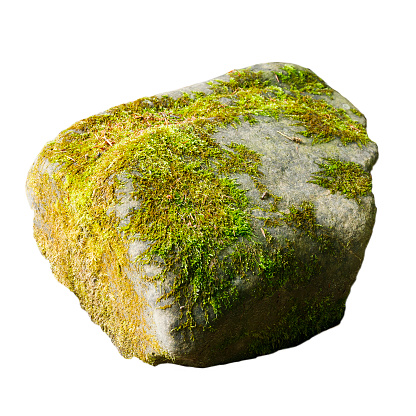 Stone with moss on a white background for design.