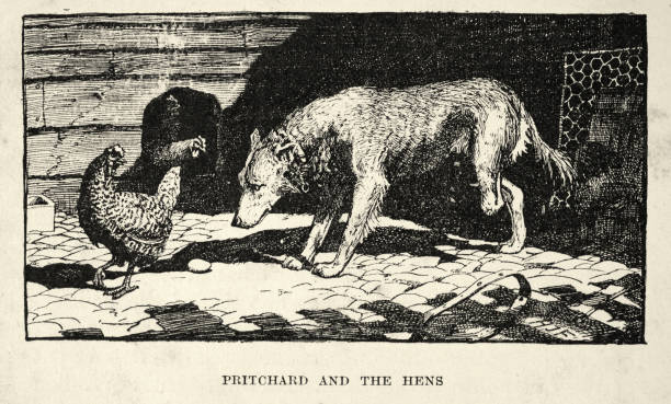 istock Dog stealing eggs from hens, Victorian animal stories 19th Century 1404918763