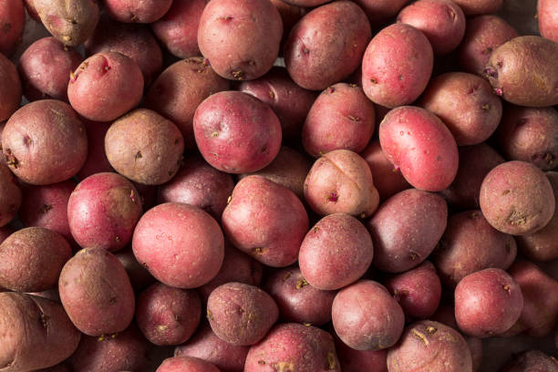 istock Red Organic Potatoes in a Bowl 1404919712