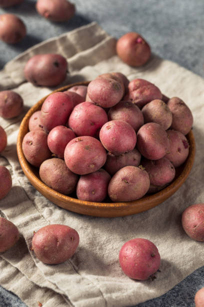 istock Red Organic Potatoes in a Bowl 1404919718