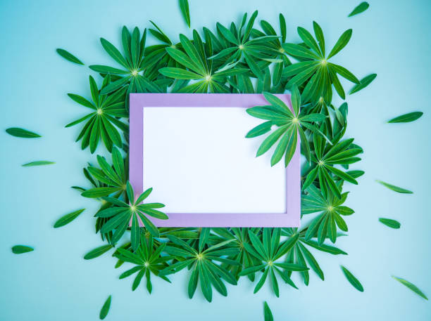 istock Abstract composition with green leaves and empty pink photo frame. Creative layout of nature. copy space 1404921292
