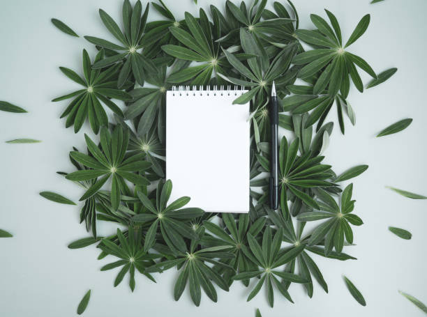istock Green tropical texture with white notepad. Creative green leaf mockup, empty notepad lies on beautiful leaves 1404921296