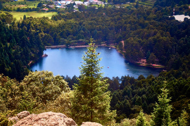 Mineral del chico Hidalgo, lake in the middle of a forest surrounded by pine trees
