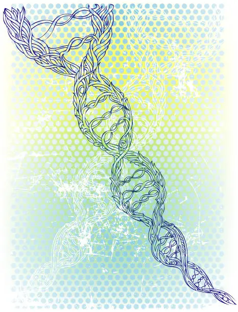 Vector illustration of dna spiral