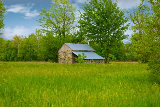 istock Old Abandoned Log Cabin-Tipton County,Indiana 1404923407