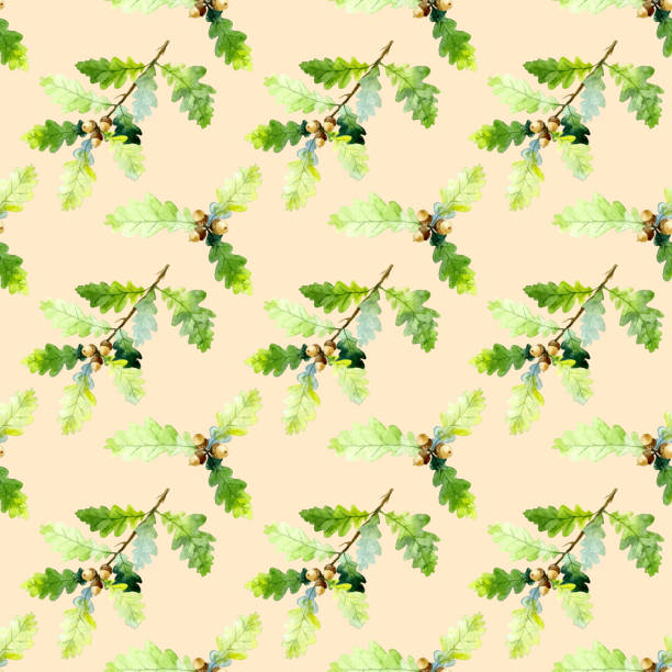 ilustrações de stock, clip art, desenhos animados e ícones de seamless pattern of watecolor oak tree branch, green leaves and acorns isolated on a beige background. hand drawn - beech tree leaf isolated branch