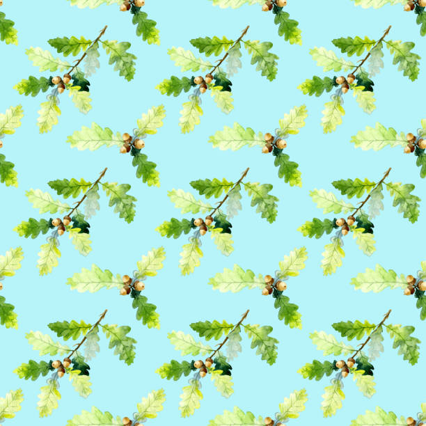 ilustrações de stock, clip art, desenhos animados e ícones de seamless pattern of watecolor oak tree branch, green leaves and acorns isolated on a blue background. hand drawn - beech tree leaf isolated branch