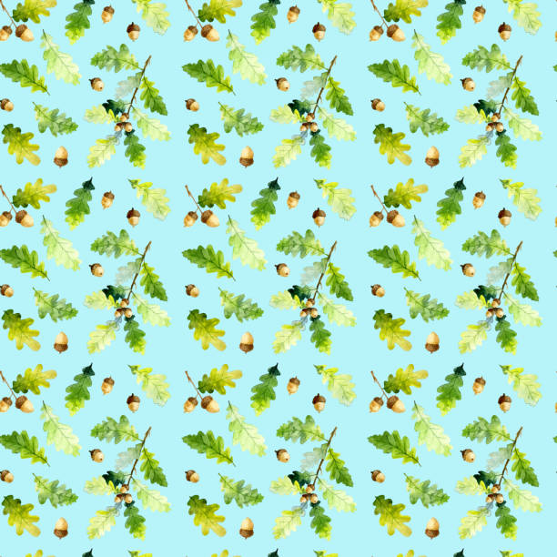 ilustrações de stock, clip art, desenhos animados e ícones de seamless pattern of watecolor oak tree branch, green leaves and acorns isolated on a blue background. hand drawn - beech tree leaf isolated branch