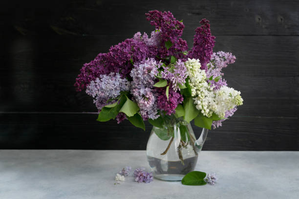istock Lilac flowers on watercolor background 1404923813
