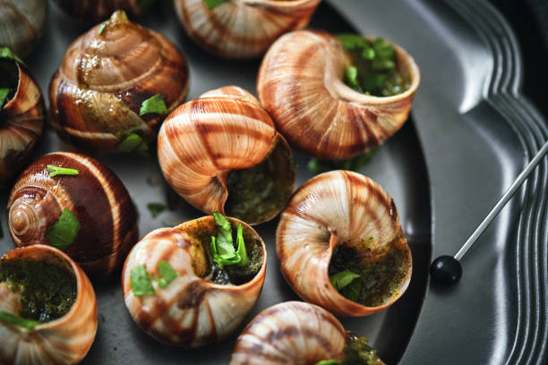 istock French Escargot Snails with Herb Butter 1404924438