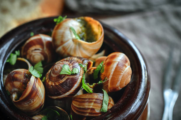 istock French Escargot Snails with Herb Butter 1404924453