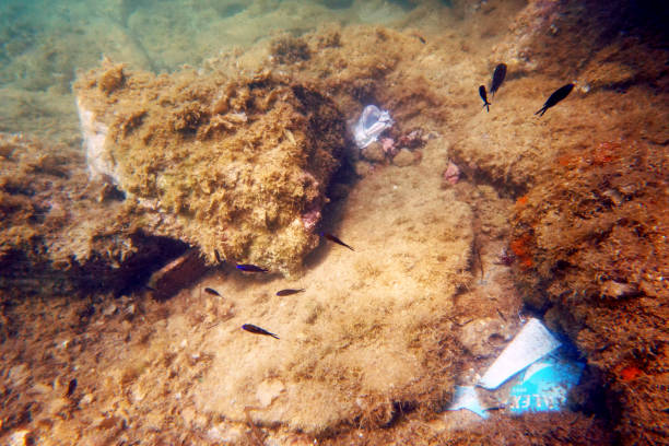 istock Environmental problem of plastic and other rubbish pollution under the sea 1404927064