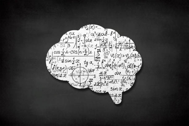 cerebro humano con patrón matemático sin fisuras en la pizarra - simplicity mathematics mathematical symbol blackboard fotografías e imágenes de stock