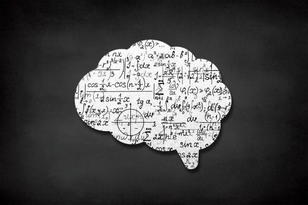 cervello umano con modello matematico senza soluzione di continuità alla lavagna - simplicity mathematics mathematical symbol blackboard foto e immagini stock