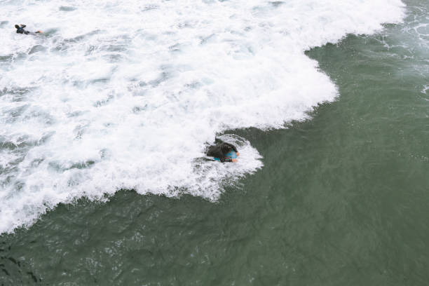 istock Surfing in California 1404932623