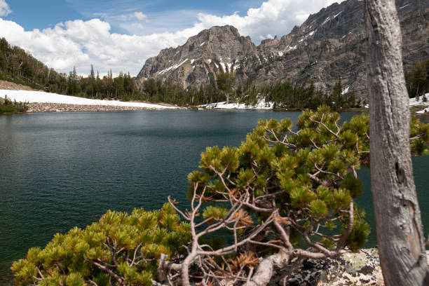 istock Grand Teton National Park 1404934745