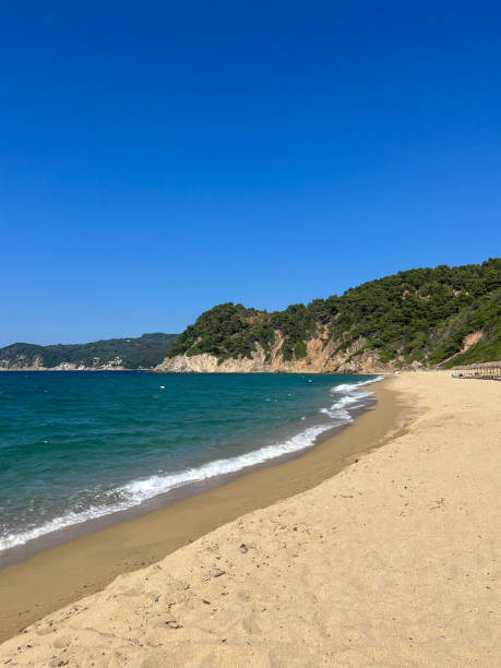 istock Megalos Aselinos Beach in Skiathos, Greece. 1404934814