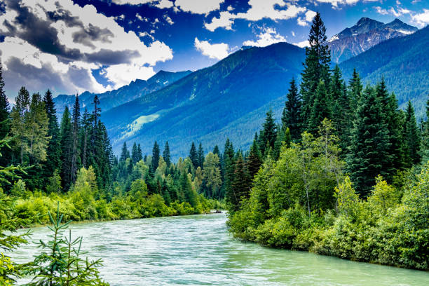 A look into Beaver Valley Glacier National Park British Columbia Canada