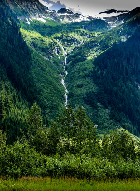 roadside hwy 1 glacier national park colombie-britannique canada - british columbia glacier national park british columbia wildlife canada photos et images de collection