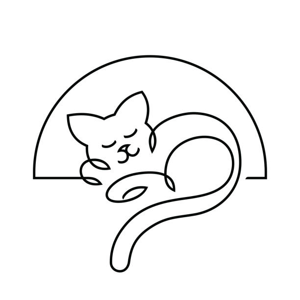 illustrations, cliparts, dessins animés et icônes de mascotte de personnage de silhouette de contour de chat - comic book animal pets kitten