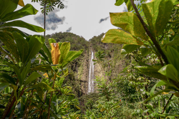 istock Beautiful waterfall on Maui, Hawaii 1404938398