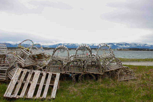 istock empty lobster and crab traps along the road in newfoundland 1404938510