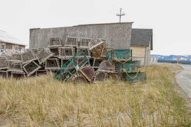 istock empty lobster and crab traps along the road in newfoundland 1404938511