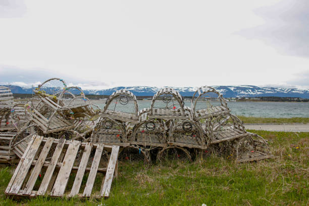 istock empty lobster and crab traps along the road in newfoundland 1404938519