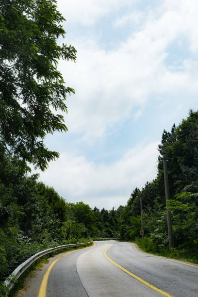 istock Landscape with empty asphalt road through woods in summer. Travel 1404939337