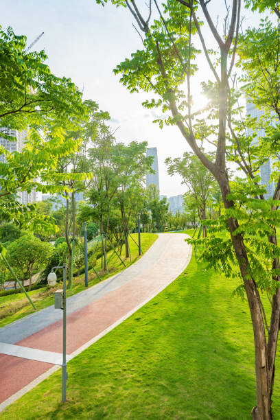 istock Leaves in the sun 1404939691