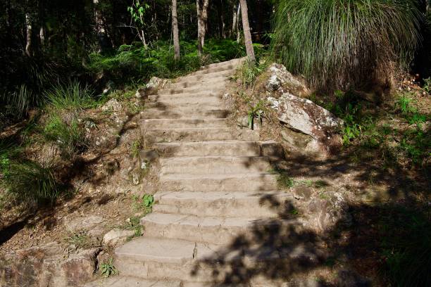 istock Stairway to a green heaven! 1404939831