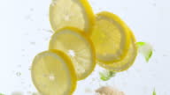 istock Lemon, mint and ginger floating in water. Fresh yellow lemons falling into water with bubbles on white background. Citrus fruits falling in water with bubbles slow motion close-up 1404940489