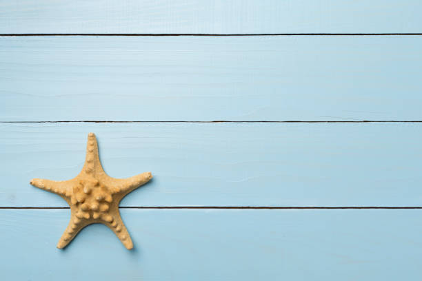 istock Starfish on wooden background, top view 1404942497