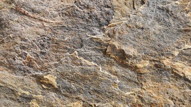 textura da rocha - stone granite textured rock - fotografias e filmes do acervo
