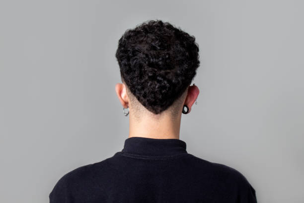 Young man from back with curly taper fade haircut. Portrait of a young man from the back, with a focus on the taper fade haircut and a gray studio background. body adornment rear view young men men stock pictures, royalty-free photos & images