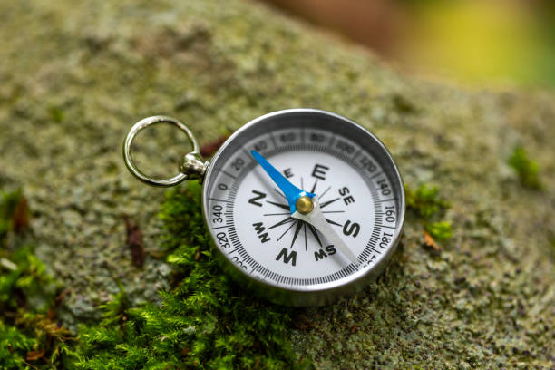 istock Compass On Mossy Rock In The Forest 1404949080