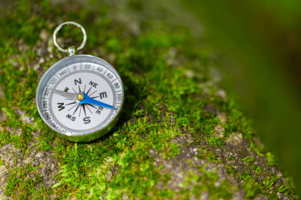 istock Compass On Mossy Rock In The Forest 1404949081