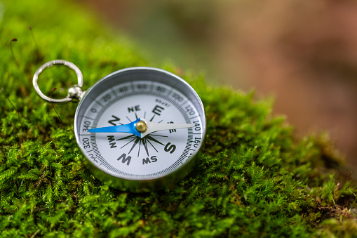 Close Up Of Compass on Mossy Rock