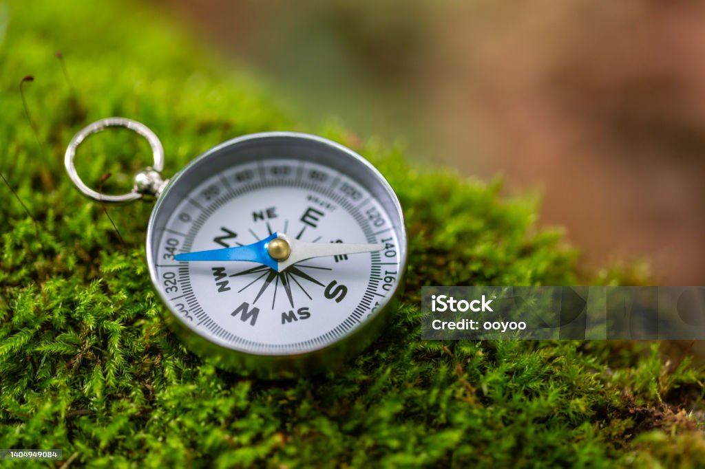 Compass On Mossy Rock In The Forest Close Up Of Compass on Mossy Rock Direction Stock Photo