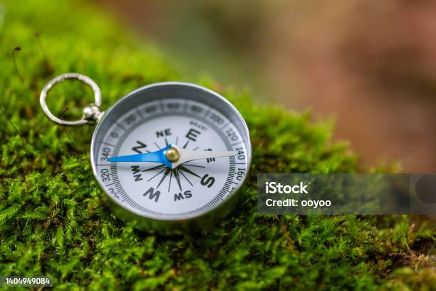 Compass On Mossy Rock In The Forest Stock Photo - Download Image Now - Direction, Coordination, Adventure
