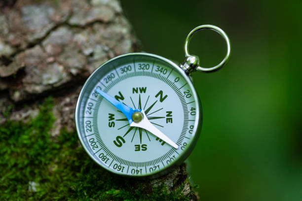 istock Compass On Mossy Wood In The Forest 1404949090