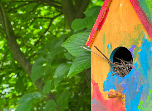 beautiful painted bird house birdhouse hanging on birch tree in spring garden