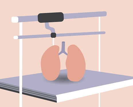 Anatomical lungs in 3D printer. Flat vector stock illustration. Concept of technologies of medicine and health care. Printing of anatomical bio organ