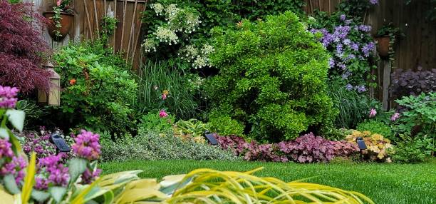ガーデンの壁 - landscaped spring canada footpath ストックフォトと画像
