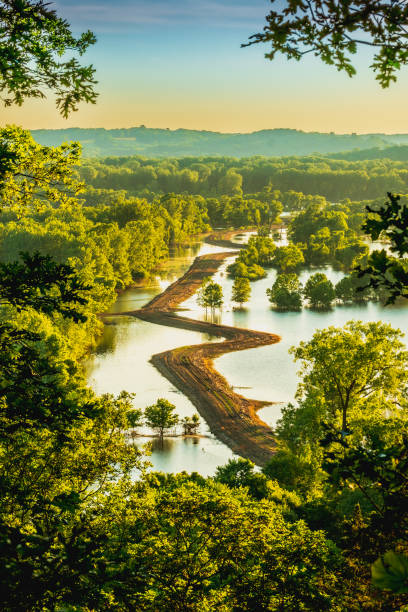 Peaceful nature landscape of American New England in the summer. Clean river and green forest preserved for animals, vegetations, and humans.