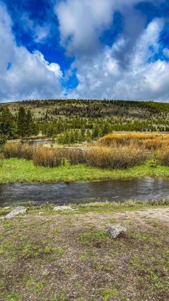istock Winter creek in Yellowstone National Park 1404971023