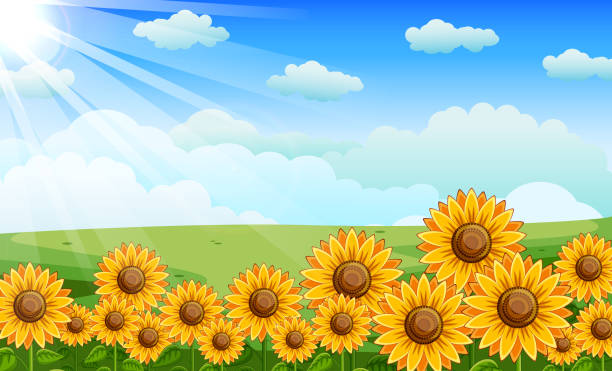 1,794 Cartoon Of A Pretty Sunflower Illustrations & Clip Art - iStock