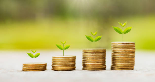 istock money growing step with tree and sunrise. concept finance accounting 1404972119