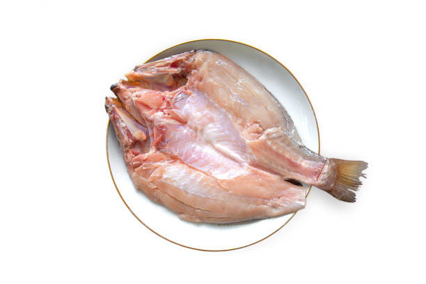 Plate, Snapper Fish, Acid, American Culture, Animal Body Part stock photo