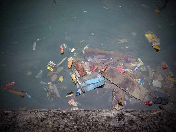 istock Various types of garbage pollute seawater 1404978522